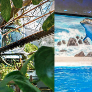 Dubai Dolphinarium