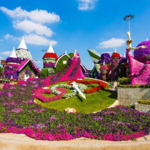 Miracle Garden