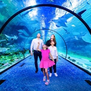 Sea World Abu Dhabi dtt