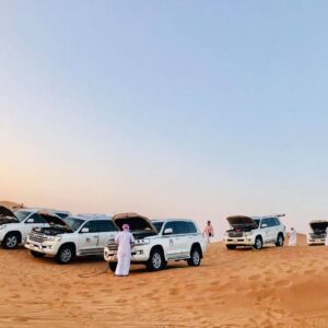 Morning Desert Safari